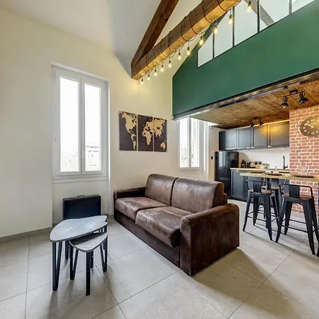 L'industrie-loft-t2-clim-parking A Proximite * Pierre-Benite